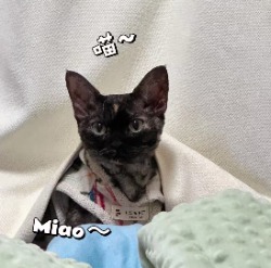 1q01vmhkfggsbn4i-HB
