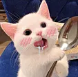 做个梦给你🐈