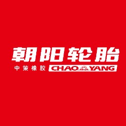 中策橡胶-两轮系列