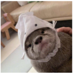 灵感突突万事屋