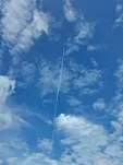 鸡蛋榴莲