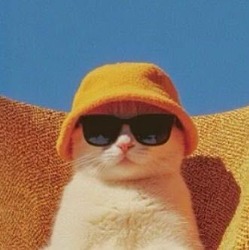 石在人