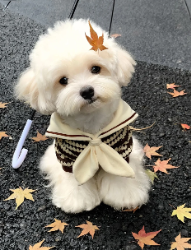 送我洞洞鞋