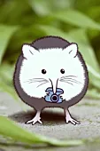 sajijsdajpdpojas