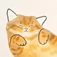 这就是猫哥