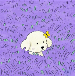 是小郑的郑