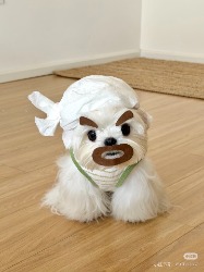 小狗战士