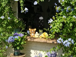 花卷不方