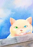 颜兿