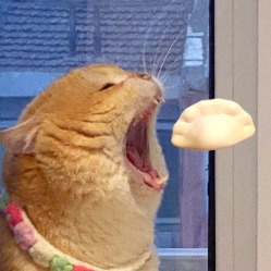 为啥子分手总在下雨天