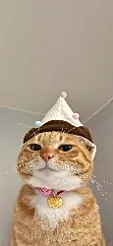 哈哈56哈哈