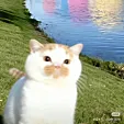 银豆ki-