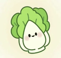 鱼stay