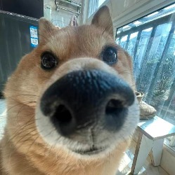 欧莱雅男士🇨🇳