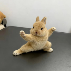 隔壁小小小小刘