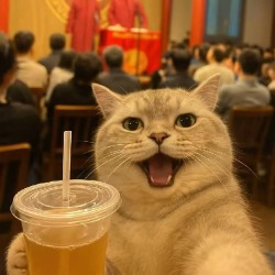 我要第一版