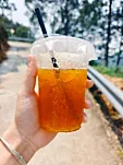 橡林
