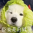 透视真是太简单了