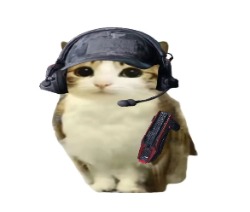 I邪恶猫猫头I