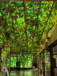 UE设计师安安