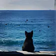 Yuki|旅图设计