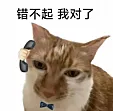 安靖靖别睡了