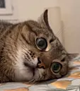 sdfsdgfdgd