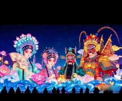 钨丝花语