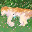 小飞虫yo