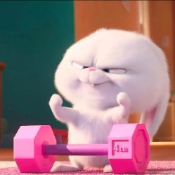 1q23zhyxud1vpofj1-HB