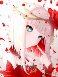 一只沙谭菊