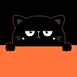 一只笨猫