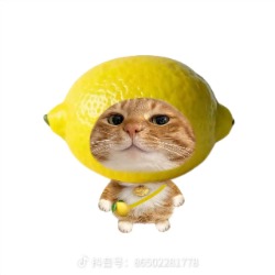 小hu狐狸