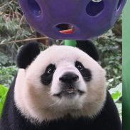 每天有好运