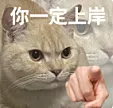 1qoee0g915vJuUEw-HB