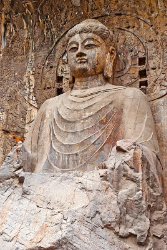洛阳光大运营