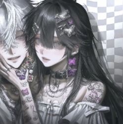 虫脆柿个虹蛋