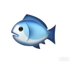 飞天嫩鱼想吃肉