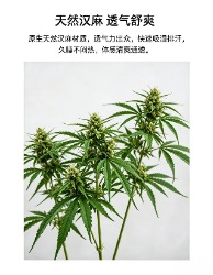 GD331263197