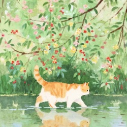 涵悦123