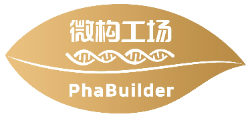 Mae玫子