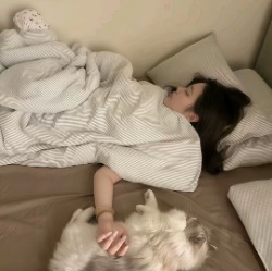 太帅被人追着砍