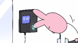 南乔55285